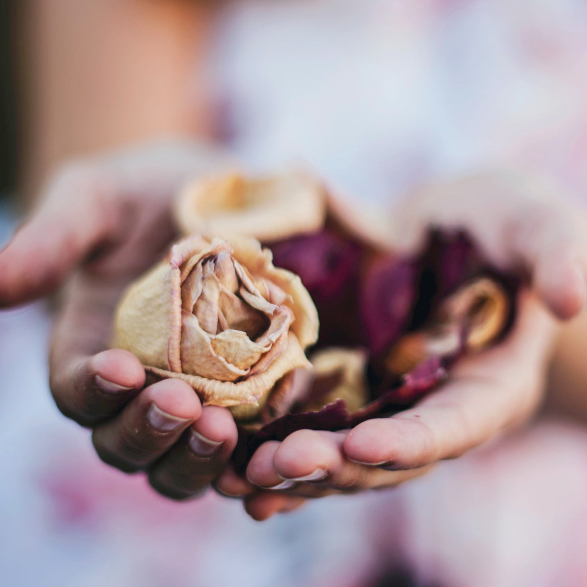 The One and Only Amazing Ailment Healing Guided Meditation by Teal Swan