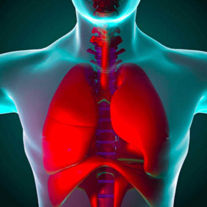 The Body Breath Meditation by Teal Swan