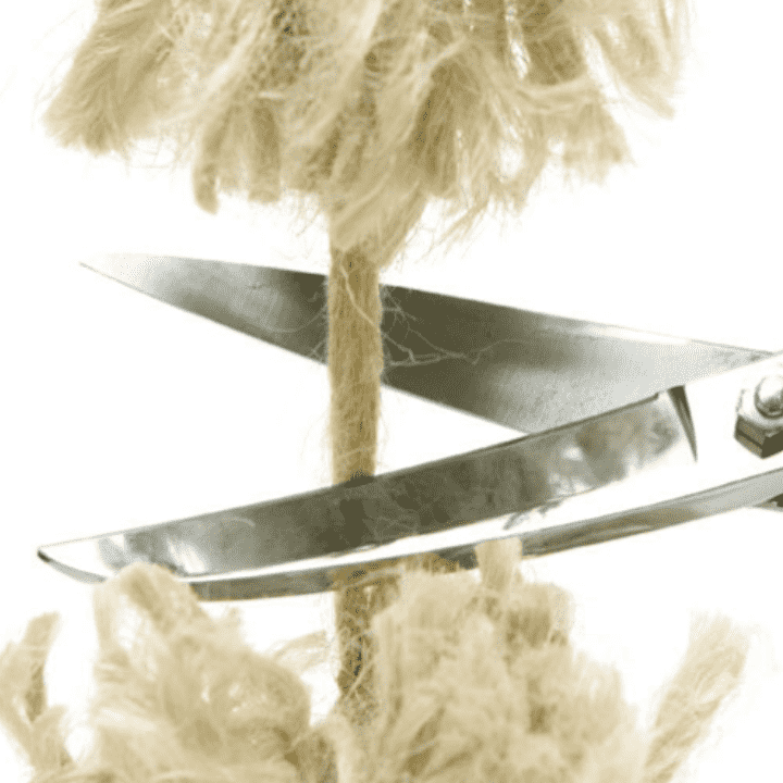 Cutting Cords Meditation by Teal Swan