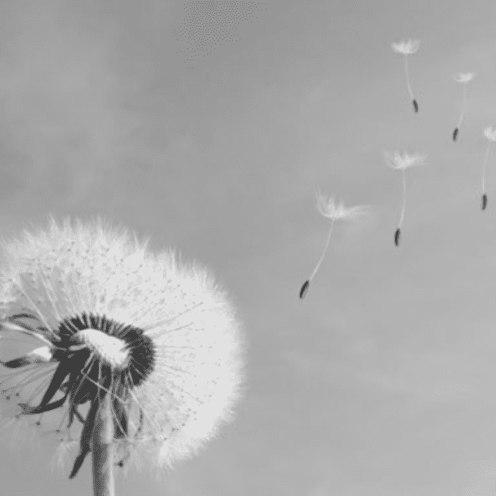 Forgiveness Meditation by Teal Swan