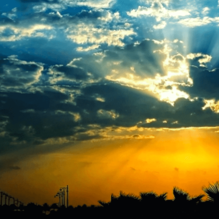 Loneliness Meditation by Teal Swan