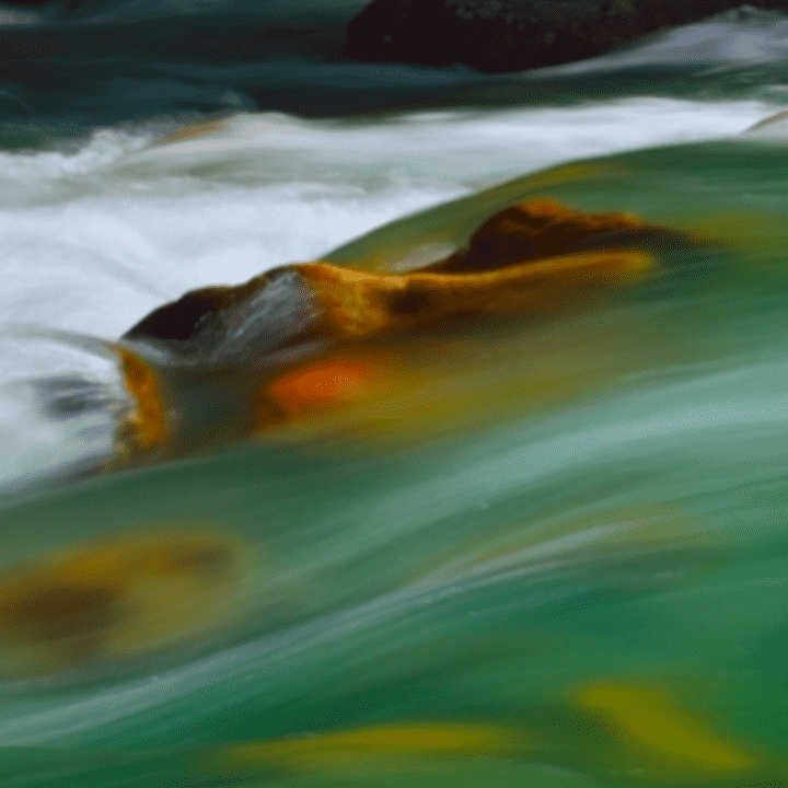 Meditace o uvolnění řeky od Teal Swan