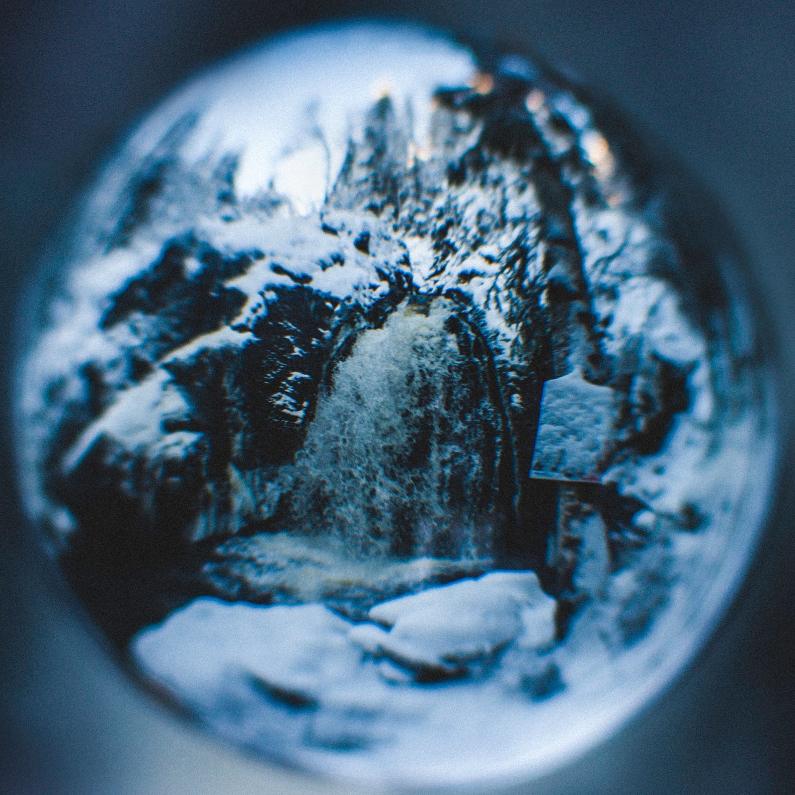 Settle as a Snow Globe Guided Meditation by Teal Swan