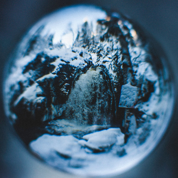 Settle as a Snow Globe Guided Meditation by Teal Swan - Teal Swan Shop