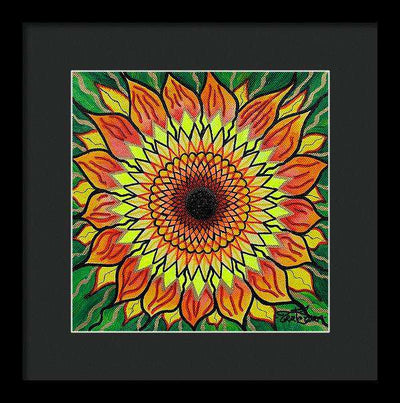 Sunflower - Framed Print