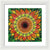 Sunflower - Framed Print