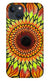 Sunflower - Phone Case