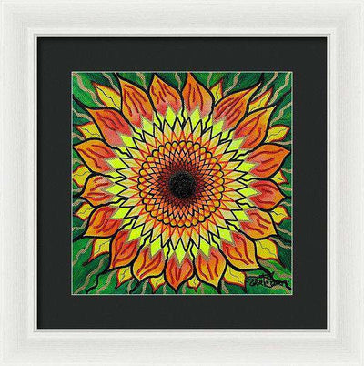 Sunflower - Framed Print