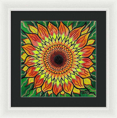 Sunflower - Framed Print