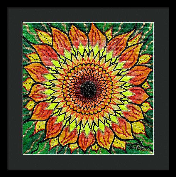 Sunflower - Framed Print