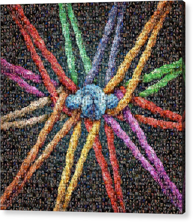 Koláž kmene - akrylový tisk