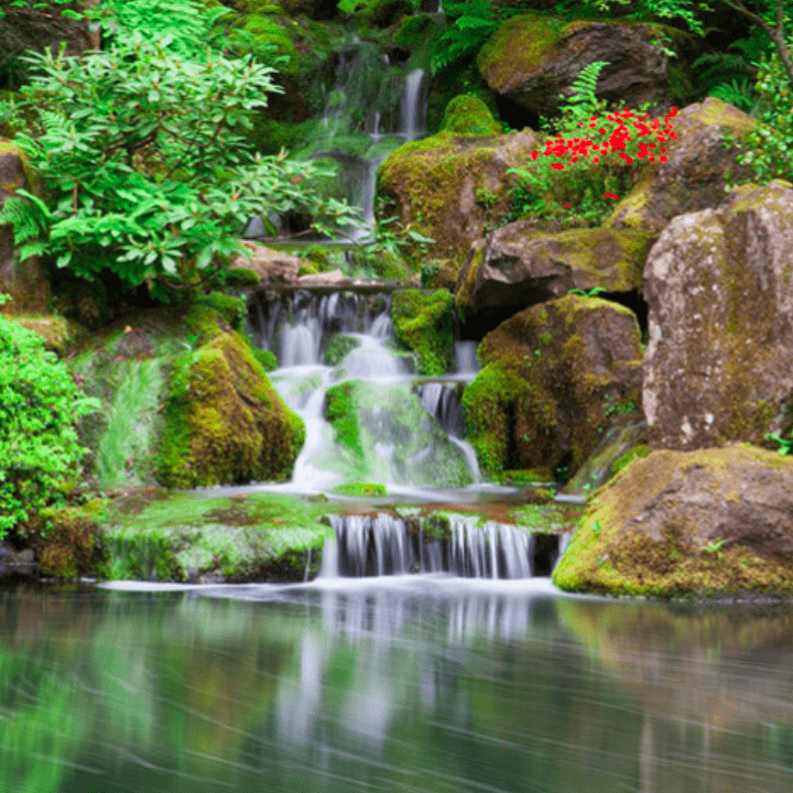 The Sanctuary Meditation by Teal Swan